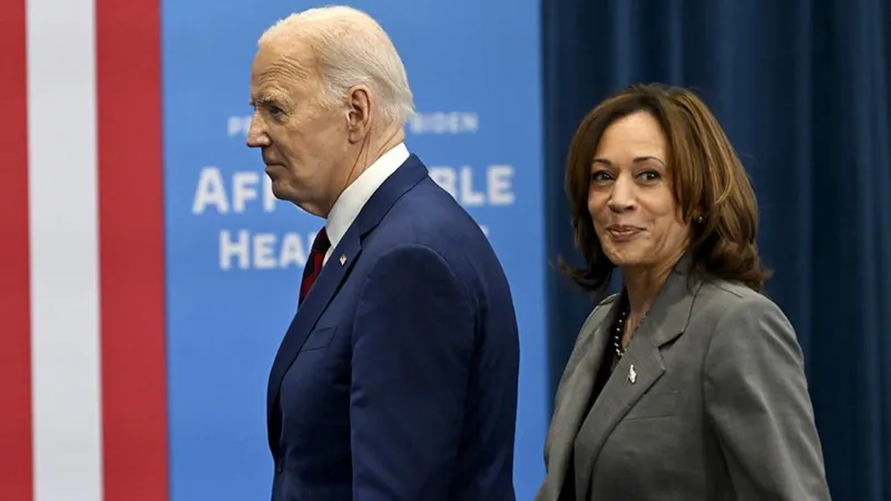 Biden's pick Kamala Harris has Democrats' support. What happens next?