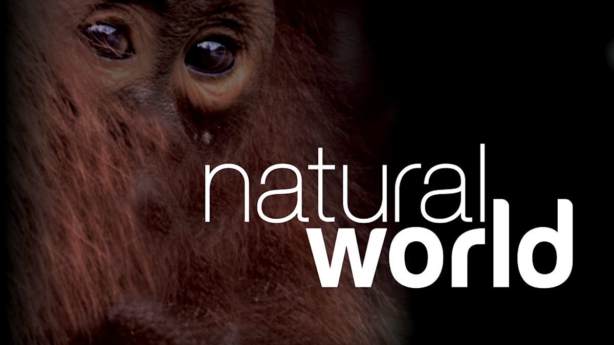 BBC Nature Exploring the Wonders of the Natural World